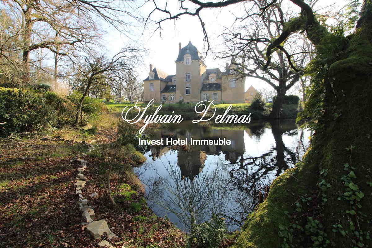 A VENDRE CHATEAU XVII ÈME PROCHE DE RENNES