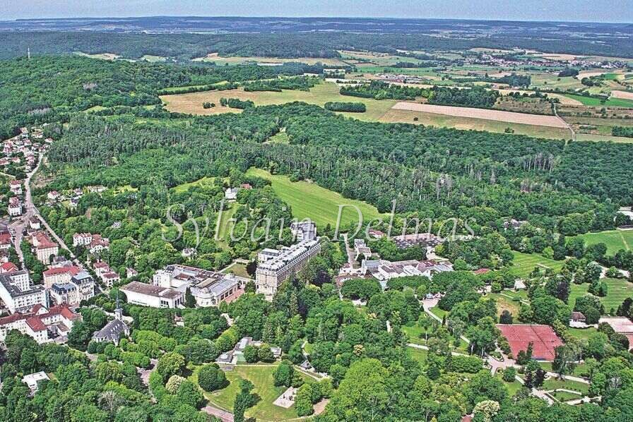 Hôtel 4* dans les VOSGES 160 CHAMBRES ET SPA
